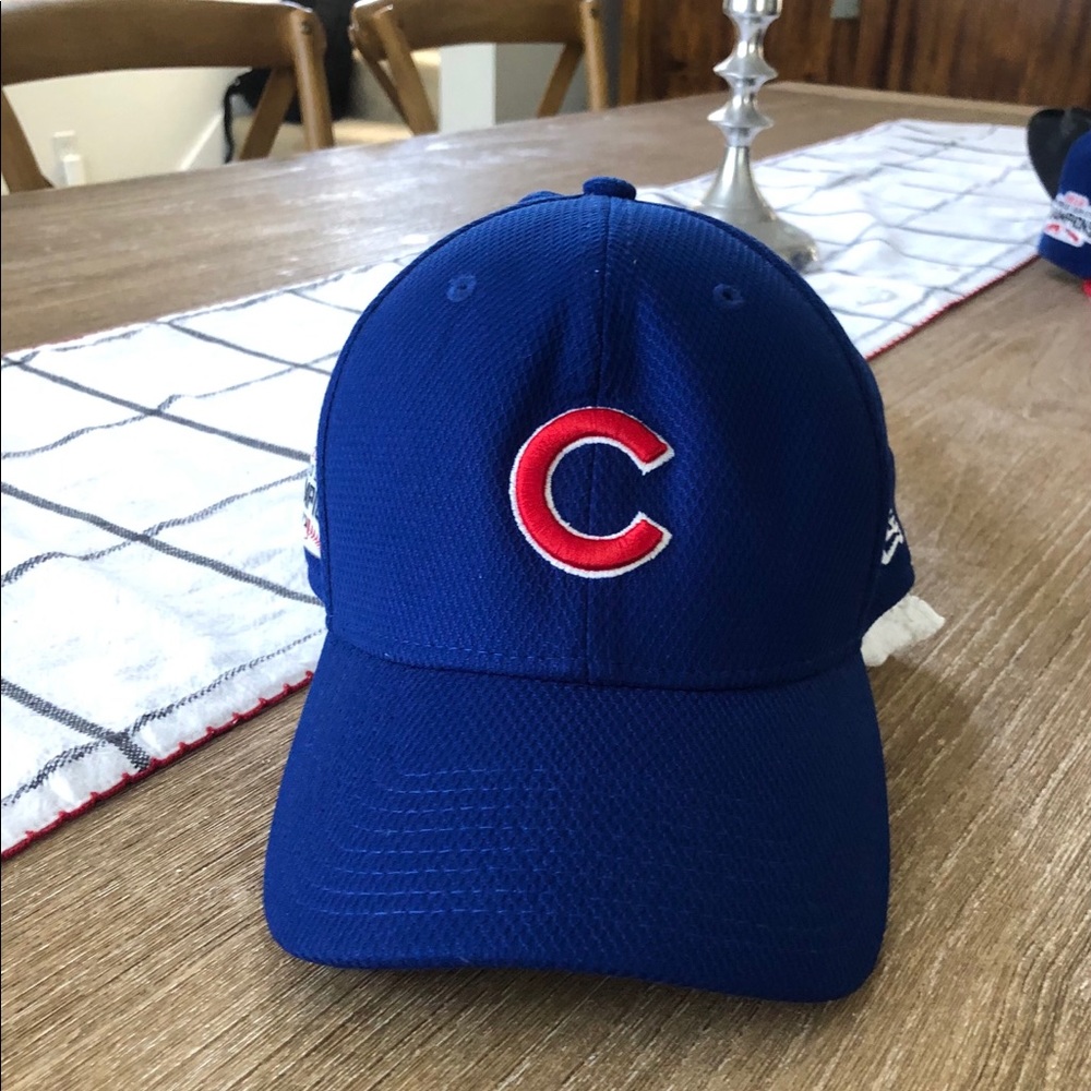 Cubs Hat - image 2